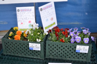 dsc_1662-400.jpg dsc_1662-400.jpg