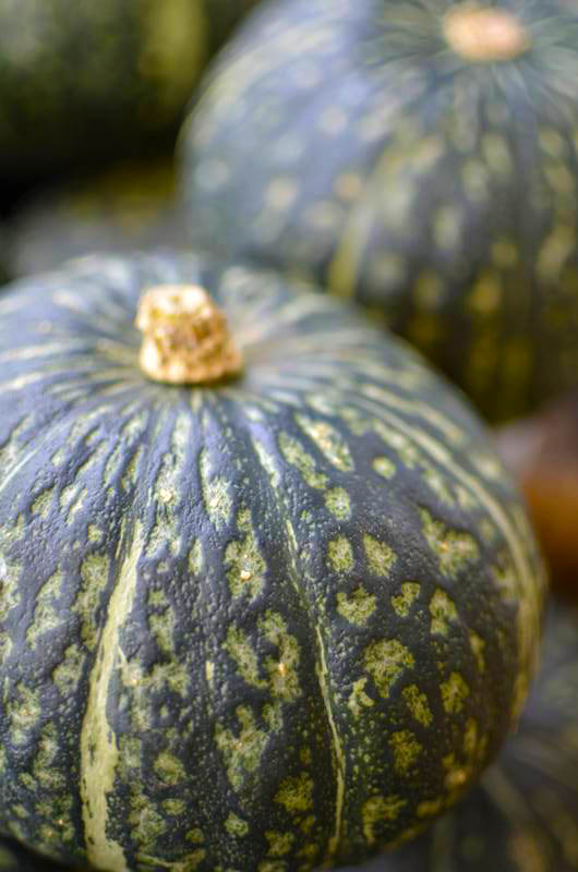 北斗星の新鮮野菜